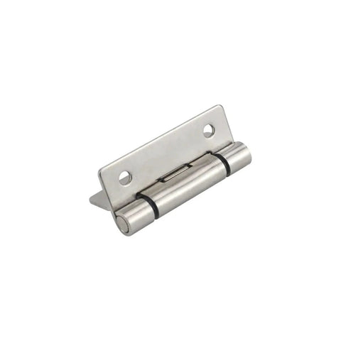 Flat stainless steel torque hinge with mounting plate and hinge pin; two holes, Amazon brand