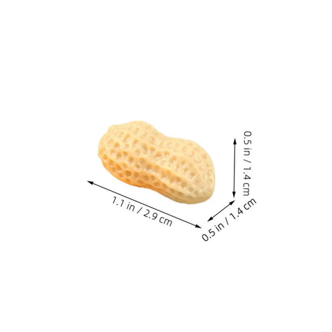 Single miniature nut model for dollhouse decor, shown with dimensions 1.1 x 0.5 inches, part of 20 Pieces Miniature Nut Models For Dollhouse Decor And Resin Crafts Realistic Tiny Food Props For DIY Projects Like Hair Accessories, Headbands, And Craft Embellishments.