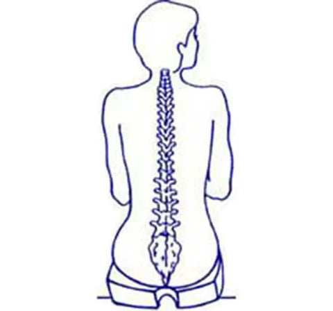 Illustration of a human spine showing proper alignment for comfort, related to Extra Firm Tush Cush Car Seat Support for Heavy Users Up To 200 Lbs, Made In Usa, Durable Black Foam, Large Size Fits Most Vehicle Seats Perfectly For Comfort And Back Pain Relief.