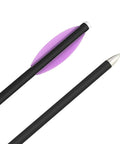 Close-up of Six Pack 6.3 Inch Mixed Carbon Crossbow Bolts Arrows For Target Practice And Small Game Hunting with plastic vanes.