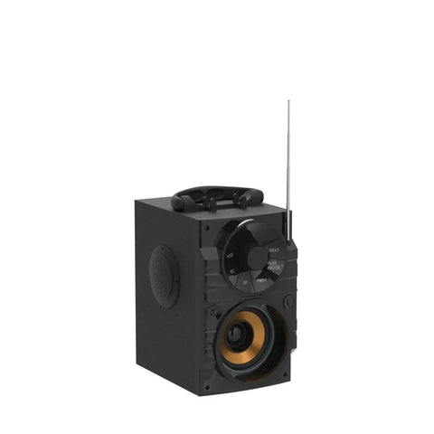 Massive Portable Bluetooth Speaker With Subwoofer And Light Show Wireless Stereo Four Point Two FM Radio LED Lights Equalizer Booming Bass