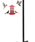Heavy Duty 48 Inch Shepherd Hook Garden Pole For Outdoor Use That Holds Bird Feeders Planters Lanterns Solar Lights Wind Chimes