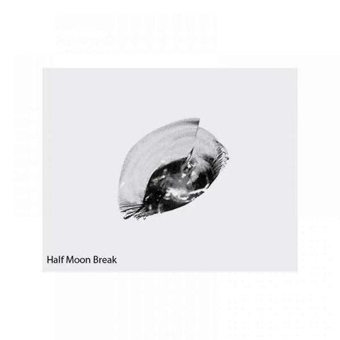 Close-up of a half moon break in a windshield demonstrating damage that can be fixed using DIY Glass Windshield Repair Kit With Resin Based Formula For Chips And Cracks Under 1 Inch And Cracks Up To 12 Inches Long No Fuss Easy To Use Durable Solution That Minimizes Appearance Stops Spread And Restores Clarity.