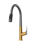 MXXYKOH Dual Spout Kitchen Water Filter Faucet with Pull-Out Spray, chrome and gold design, modern kitchen mixer tap.