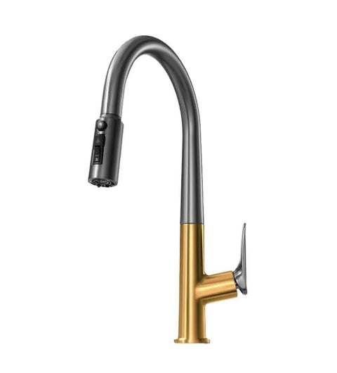 MXXYKOH Dual Spout Kitchen Water Filter Faucet with Pull-Out Spray, chrome and gold design, modern kitchen mixer tap.