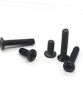 Two Piece Miniature Screw Set With Countersunk Round Screws for Small Machines, Notebooks, and Glasses Repair, assorted sizes on display