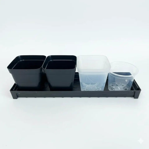 Five Pack Plastic Window Sill Plant Saucers With Removable Drain Hole Rectangular 16 By 5.5 By 1.5 Inches Thick Black Trays For 4 Inch Flower Pots BPA Free Heavy Duty Space Saving Seedling Drip Trays holding assorted pots