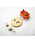 Shower System components, including brushed gold plate and control lever, for 10" Rain Head, Handheld, Wall-Mounted.