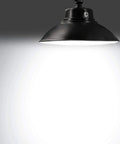 Two Pack 14 Inch Barn Light Outdoor Dusk To Dawn With Photocell, 42W 4200LM 5000K Black Fixture Illuminate Porch