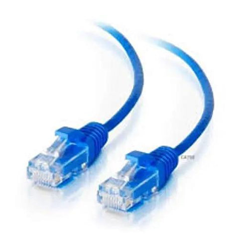 Blue Ethernet cable with RJ45 connectors on both ends for network connectivity.