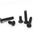 Miniature Screw Kit For Glasses, Watches And Electronics With Countersunk Round Head Screws displayed on white background