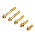Built Tough Titanium Bolt And Screw Kit For Yamaha XMAX300 2021 To 2024 Motorcycle showing various gold screws for upgrades.
