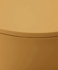 Totally Legit Go To Upgrade Your Living Room Featuring This Premium Hourglass Side Table Doubling As A Round Accent Stool Fully Versatile Dual Sided Plastic Design Built For Chill Vibes Makeup Sessions Or Casual Shoe Changing In Ginger close-up of smooth ginger plastic surface.