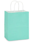 Aqua White Kraft Paper Shopping Bags Cub Size 8 By 4 And Three Quarters By 10 And One Quarter Inches 250 Pack Serrated Top White Twisted Handles