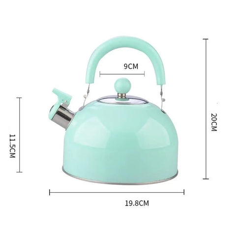 Heavy Duty Stainless Steel Water Kettle With Slick Pastel Exterior And Zero Scald Handles, 20CM tall.