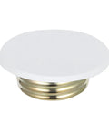 Sleek Iron Fire Sprinkler Nozzle Cover Plate With Tough Head Protector and Snug Ceiling Escutcheon viewed from top, 3.34 inch round.