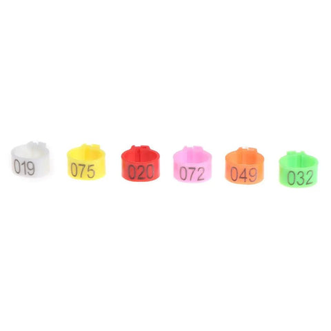 Colorful numbered 10mm pigeon leg bands identify rings pack of 100 for carrier birds durable metal bird tags with numbers training and tracking.