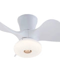 Ceiling Fan with Light 36W Built-in Illumination 6 Speed Settings Color, modern design, white blades, round light fixture.