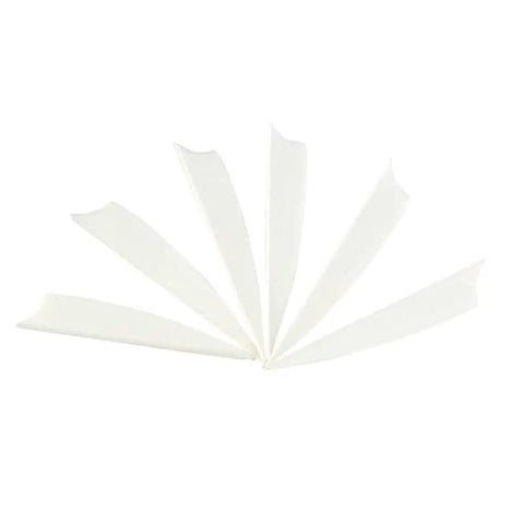 DIY Arrow Fletching Vane Set, 50 Pcs Plastic Arrow Feathers TPU Vanes 2In and 2.5In For Carbon Arrows displayed in fan shape