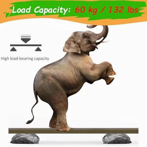 Elephant balancing on Concealed Soft Close Barn Door Hardware Kit With Double Hanging Tracks Adjustable Ceiling And Wall Mount