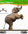 Elephant balancing on a double barn door hardware kit with soft close sliding system hidden track adjustable ceiling and wall mount cuttable dual rail.