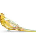 Yellow Jungle Beats Parakeet Lechee Crystal Figurine, Sparkling Collectible Bird Statue For Display with Swarovski accents