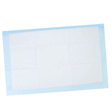 Hella Soft Disposable Bed Pads For Adults Heavy Absorbent Underpad With Odor Blocking Fluff Pulp Super Gentle On Skin Top Pick For Maternity Recovery Baby Changing And Sweet Dreams 10 Pack Large, large white underpad with blue borders.