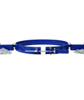 Heavy Duty 55 Gallon Drum Lifter Ring With Pivoting Fork Pockets, Painted Carbon Steel Design, front view of blue drum lifter.