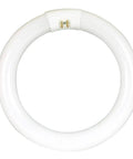 8 Inch LED Circular Tube T9 Replacement 15W Cool White 4100K G10Q Base Plug And Play No Rewiring Needed Requires Compatible Existing Ballast