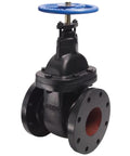 Front view of Legend Valve 2-inch cast-iron gate valve, Model T-301, blue handwheel, flanged ends