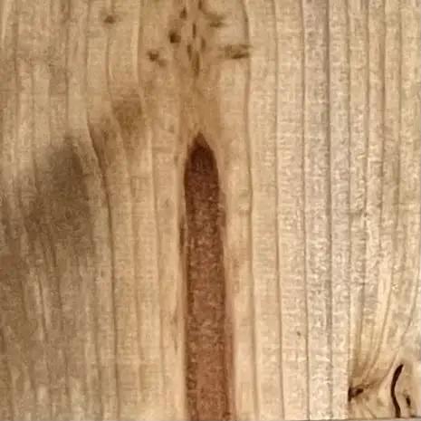 Close-up of raw wood grain showing texture, ideal for Ponderosa Premium Interior Wood Aging Stain 5 Gallon Container application.