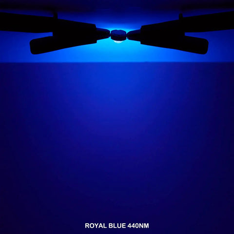 100 Watt Cob Led Grow Lamp Emitting Royal Blue Spectrum From 440 Nm To 450 Nm For Indoor Plants With Hella Bright Photon Output And Wide Beam For Your Garden Setup