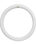 Circline LED Light Bulb 12 Inch Diameter, 2000 Lumen Output, 4100K Cool White, Non Dimmable 4 Pin G10Q Base, T9 bulb image