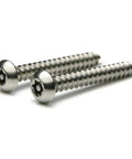Rock Solid 18-8 Stainless Steel Security Screws With T-25 Torx Drive design, showing two tamper-resistant button head fasteners.