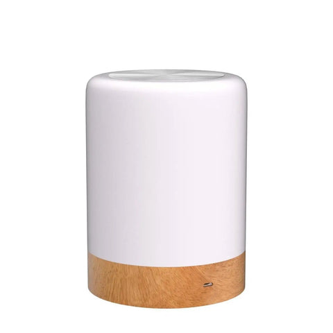 Touch Control Night Light Rechargeable Bedside Lamp With Dimmable Warm White 2800K 3100K And RGB Color Changing Portable Cordless LED Lamp
