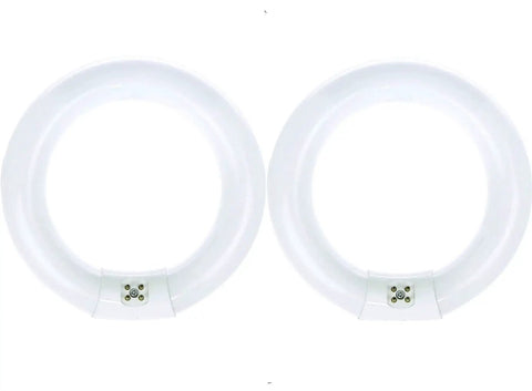 Two 22W 8 Inch Round T9 Fluorescent Circline Light Bulbs Cool White 4100K 1120 Lumens G10Q 4 Pin Base for ceiling fixtures