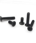 Straight Up Solid Black Screw Assortment Kit Featuring Portable Countersunk Round Head Fasteners for glasses watch repair.