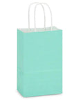 Aqua Tint White Kraft Paper Shopping Bags Rose Size With Serrated Tops And White Twisted Handles, 5 1/2 By 3 1/4 By 8 3/8 Inches