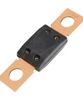 Heavy Duty 100 Amp MEGA Auto Fuse With Rock Solid Bolt Down Bracket For Cars Trucks Boats Rv Camper Trailer, 100A rating.