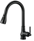Kitchen Faucet with Pull Down Sprayer, Black Kitchen Sink Faucet, high arc design, single handle for easy use.