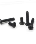 Top Shelf Miniature Small Screw Assortment Kit With Transparent Organizer Box And Tiny Machine Bolts Perfect For Nitty Gritty Repairs And Weekend Projects Gonna Need This One - assorted black machine bolts on white background.