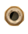 Dual-check valve, 3/4-inch MPT, lead-free brass, front view.