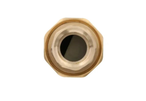 Dual-check valve, 3/4-inch MPT, lead-free brass, front view.