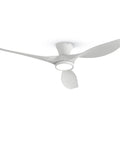 52 Inch Ceiling Fan With Lights Remote Control Modern Low Profile Design Quiet Reversible DC Motor For Bedroom Living Room And Patio
