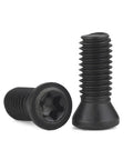 Thirty Pack M2.5 X 6mm Grade 12.9 High Tensile Torx Screws Tank Strong Black Oxide Alloy Steel Fasteners showing black screws.
