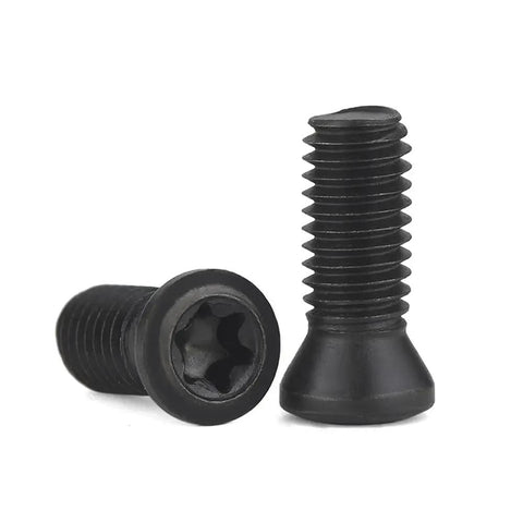 Thirty Pack M2.5 X 6mm Grade 12.9 High Tensile Torx Screws Tank Strong Black Oxide Alloy Steel Fasteners showing black screws.