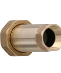 Brass 3/4-inch MPT dual check valve, one-piece with hex nut