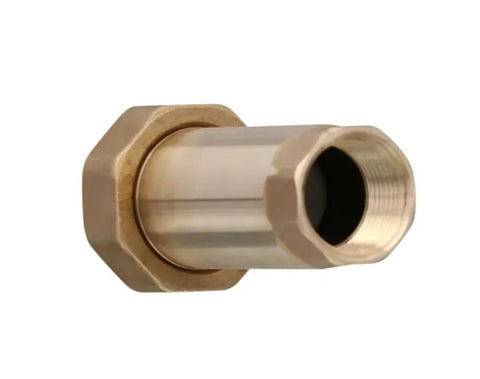 Brass 3/4-inch MPT dual check valve, one-piece with hex nut