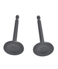 Close-up of intake and exhaust valves from Beefed Up 22Lb Valve Spring Kit With Retainer And Lock For 196Cc 212Cc 224Cc Non Himi 5.5HP 6.5HP Honda GX200 GX160 OHV Clone Engines 208Cc Tillotson Go Kart OHV Racing Motor