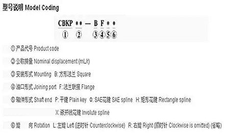 Model coding guide for Heavy Duty Electric Submersible Gear Oil Pump specifications and features.
